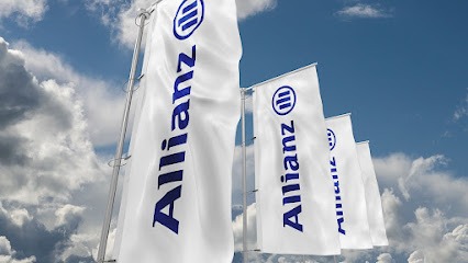 Negocio Allianz Seguros - Agencia Seguralmanzora S.L.